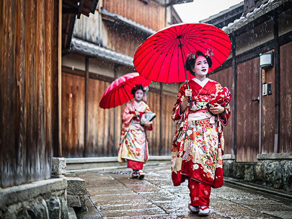 Maikos walking in Kyoto