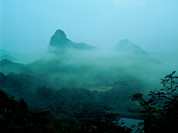 a foggy ambience at Mifuneyama Rakuen