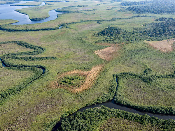 an aerial view of the estuaries in Pongara National Park