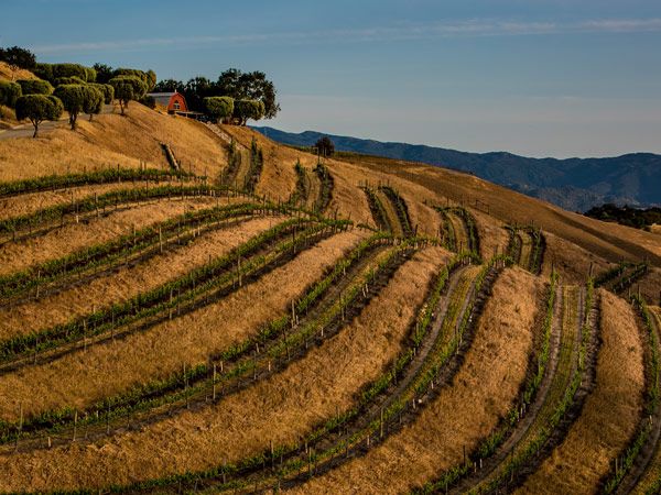 a picturesque view of Santa Ynez Valley