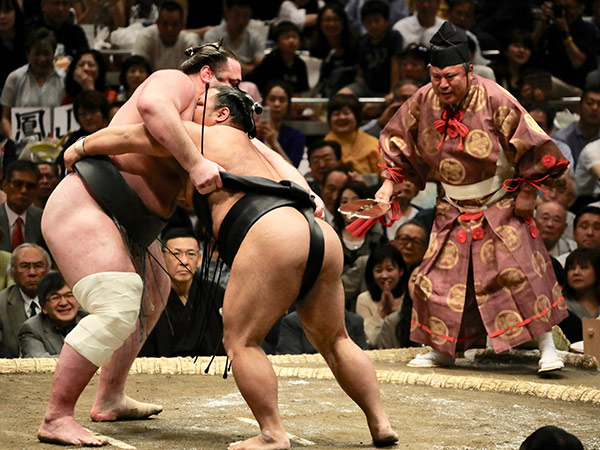 Sumo wrestling, Japan bucket list
