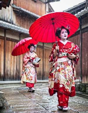 Maikos walking in Kyoto