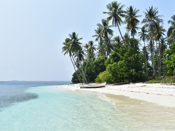 white-sand beach on Sicsican Island Balabac with palm trees on the background