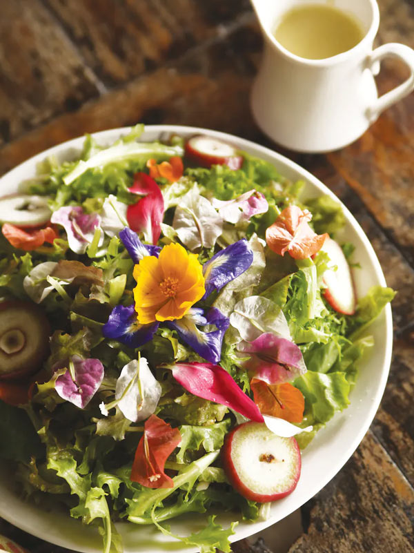 a healthy meal at Bohol Bee Farm, Philippines