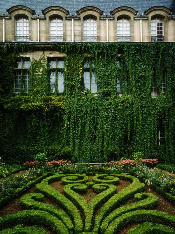 a garden outside Carnavalet Museum