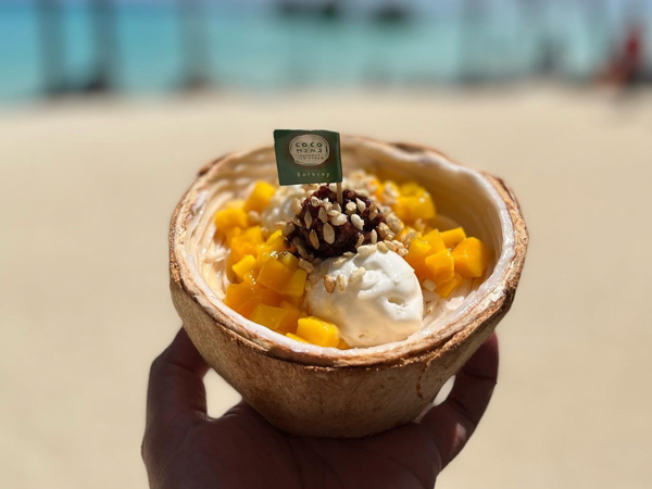 a hand holding Coco Mama's ice cream on a coconut shell