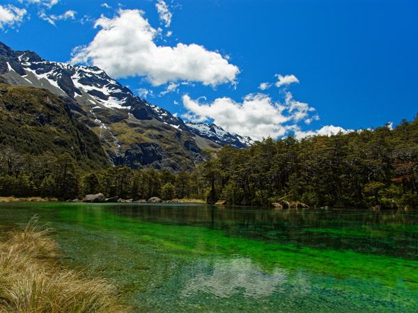a scenic view of Lake Rotomairewhenua