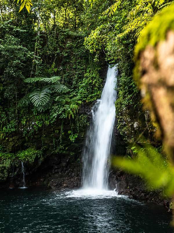 Afu A’au Waterfall, swimming in Samoa