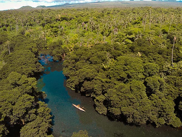 Asaga Mangroves