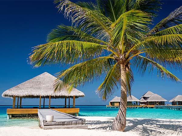 The Maldives