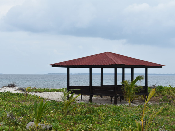 a hut surrounded by lush greenery at Canimeran Island, Balabac, Palawan, Philippines