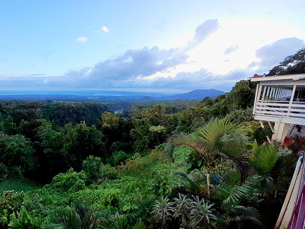 Dave Parker Eco Lodge view