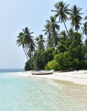 A palm-fringed beach at Sicsican Island, Balabac, Palawan, Philippines