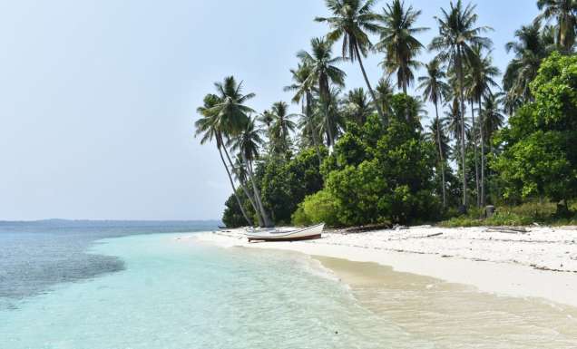 A palm-fringed beach at Sicsican Island, Balabac, Palawan, Philippines