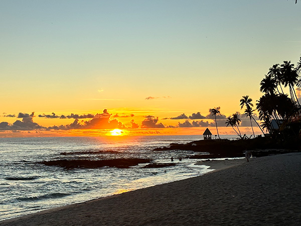 Return To Paradise Beach