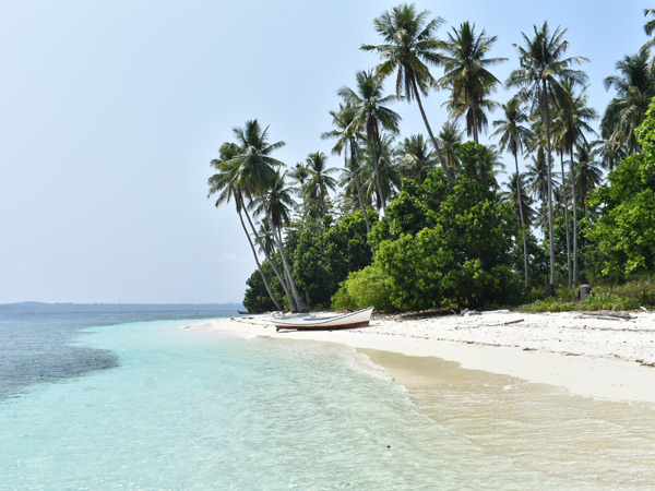 a palm-fringed beach at Sicsican Island, Balabac, Palawan, Philippines