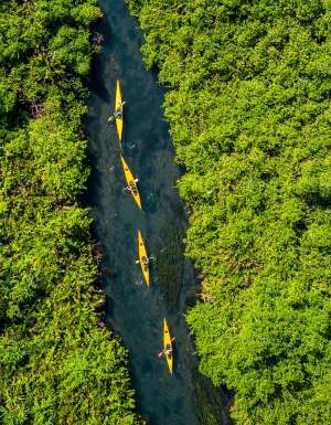 kayaking Asaga Mangroves, things to do in Samoa