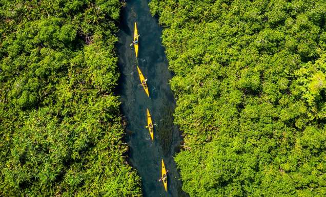 kayaking Asaga Mangroves, things to do in Samoa