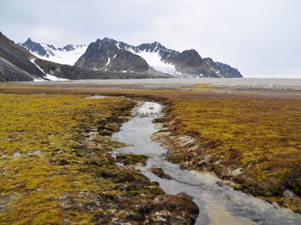 a scenic landscape in Magdalenefjord