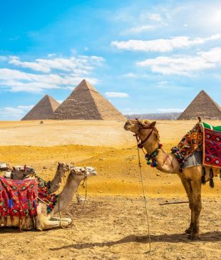 Viking Osiris: A cruise through Egypt on the legendary Nile River