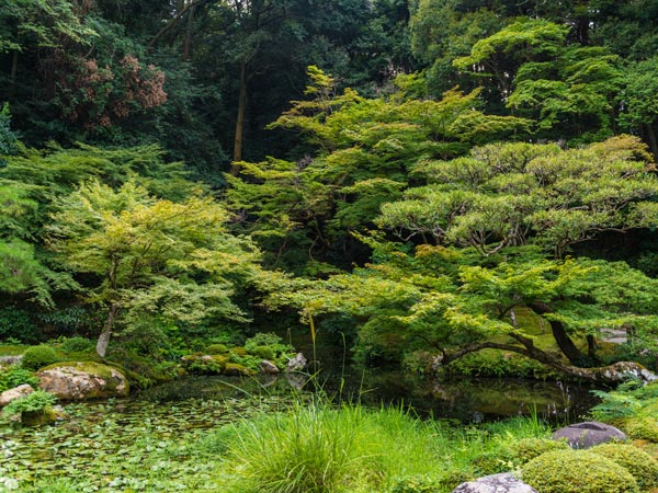 the Japanese garden at Nanzen-ji temple