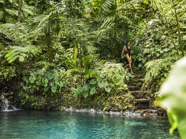Kedara Natural Spring Pools