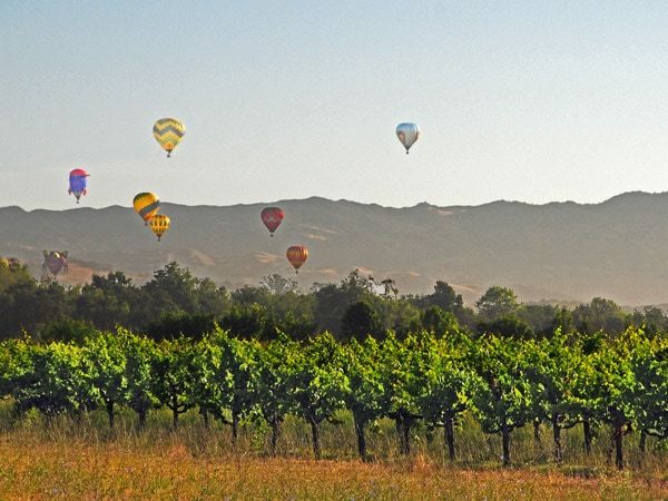 hot air balloons over Sonoma County