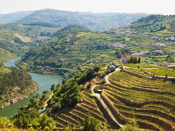 a scenic view of Douro River with valleys carved out of the wine region
