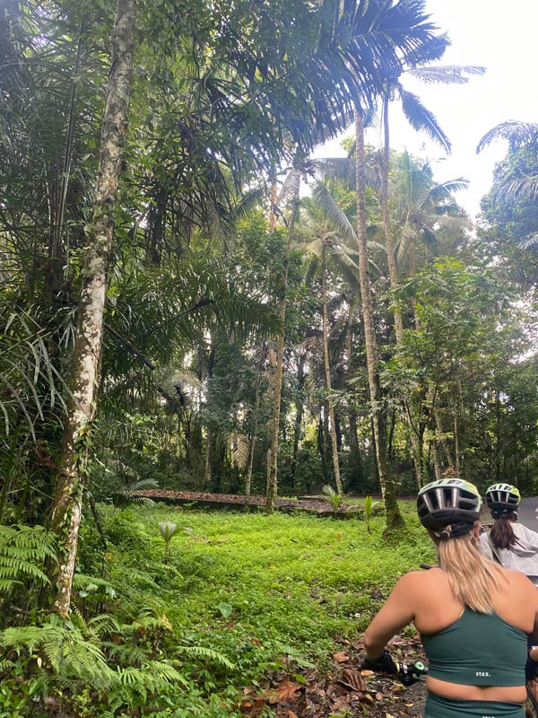 traversing the scenic trail on two wheels, Mount Batur Freewheeling Bike Tour