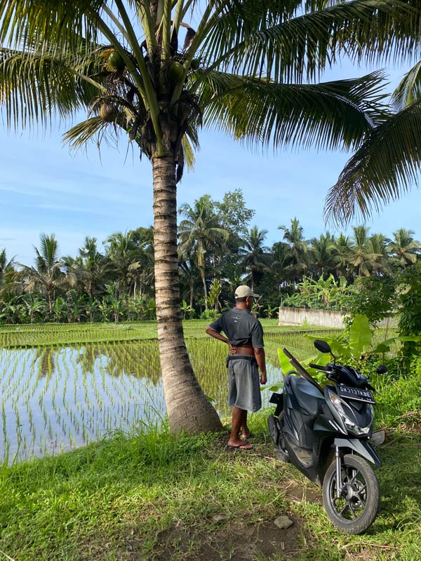 a man standing alongside his motorcycle on a rice field
