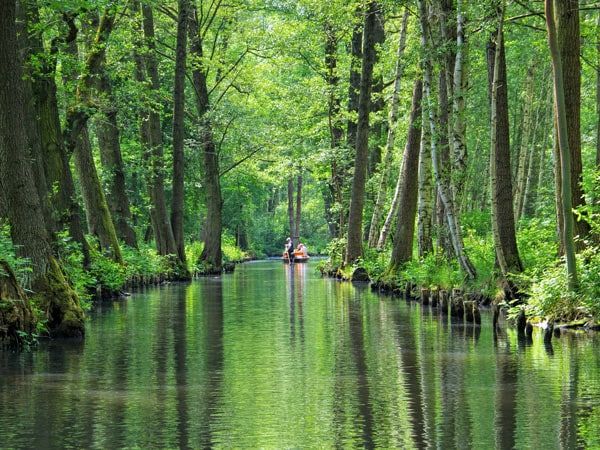 a person canoeing in Spreewald
