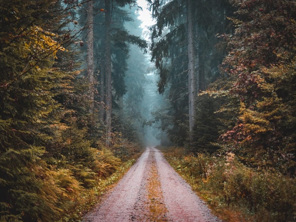 the setting of Grimm's Fairy Tales at the Black Forest near Baden-Baden