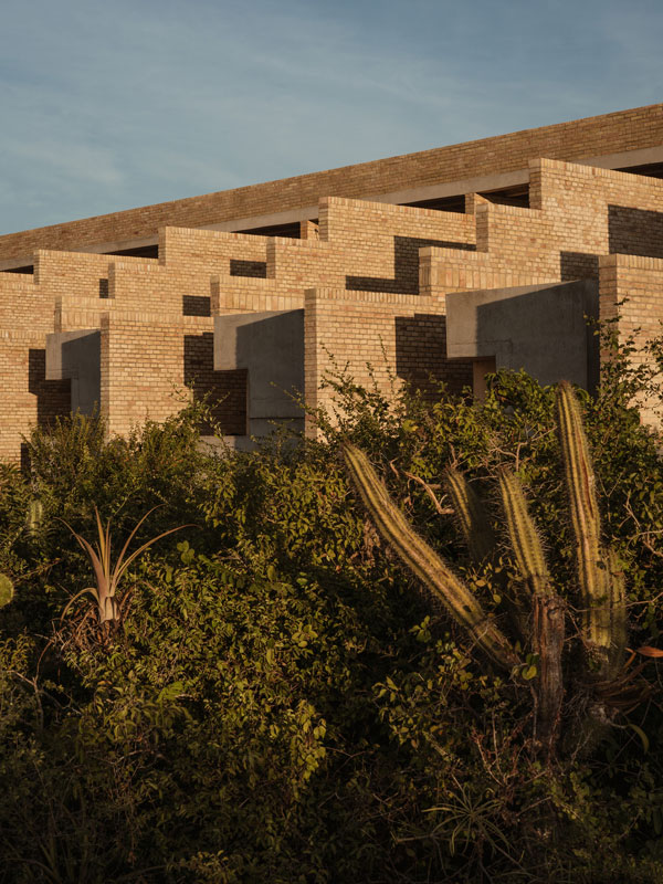 the exterior of Hotel Terrestre