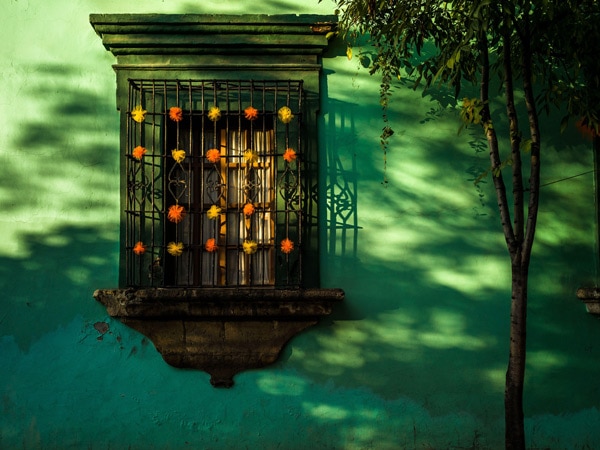 a window decorated with artificial flowers during the Day of the Dead festival in Oaxaca, Mexico