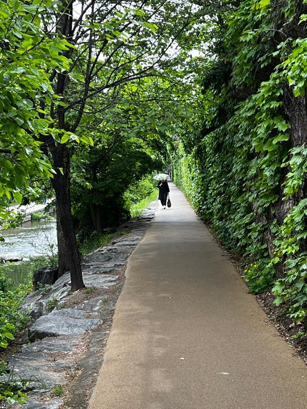 walking along Cheonggyecheon Stream, Seoul, South Korea