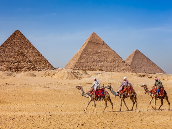 Bedouins riding on camels at  The Great Pyramid of Giza in Egypt