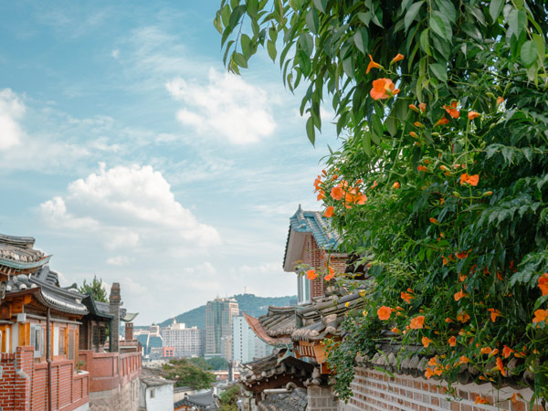 summer in Bukchon Hanok Village in Seoul, Korea