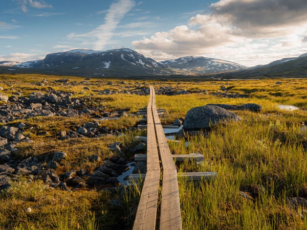 a scenic wooden path in Abisko National Park
