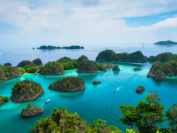 an aerial view of Raja Ampat island, Indonesia