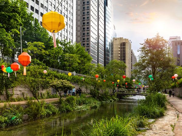the Cheonggyecheon Stream in downtown Seoul, South Korea