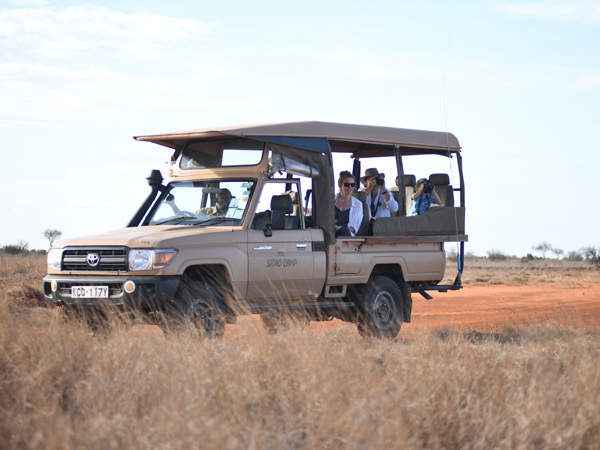 guests on their binoculars, The Big Tusker Safari with Bench Africa