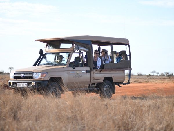 people watching through their binoculars on The Big Tusker Safari with Bench Africa