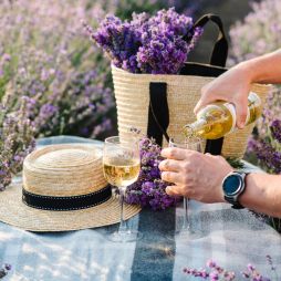 pouring some Provence wine into a glass on the lavender fields