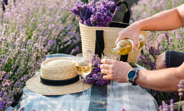 pouring some Provence wine into a glass on the lavender fields