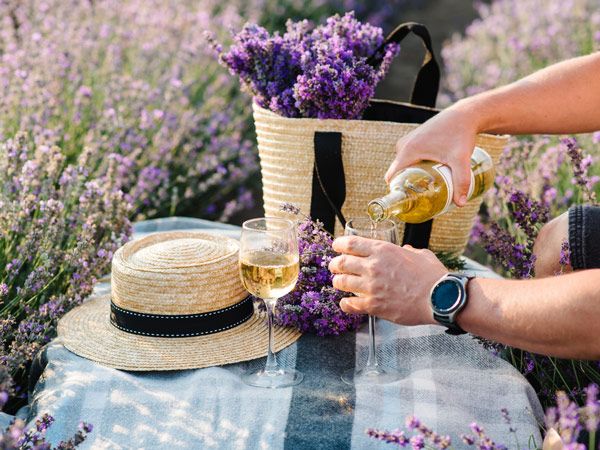 pouring some Provence wine into a glass on the lavender fields