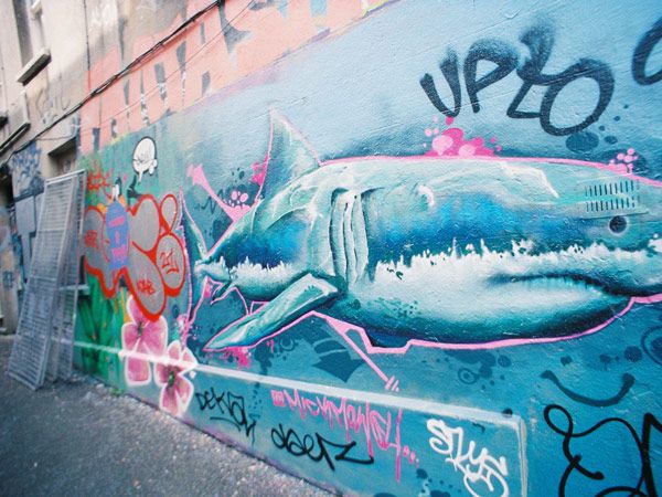 a shark painted onto a wall in Brighton