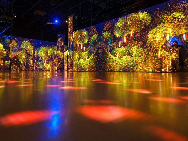 an interactive light display at Arte Museum