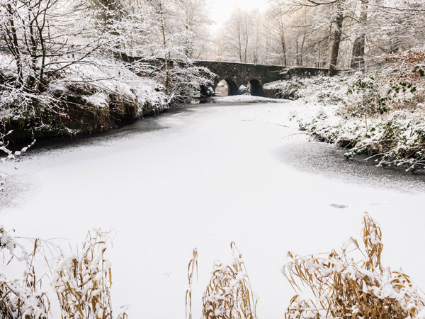 a snow-covered landscape in Belfast