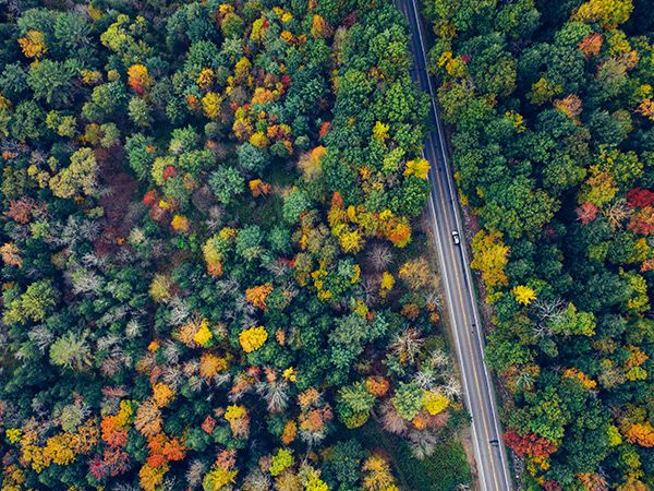 car drives through Catskill Mountains Preserve