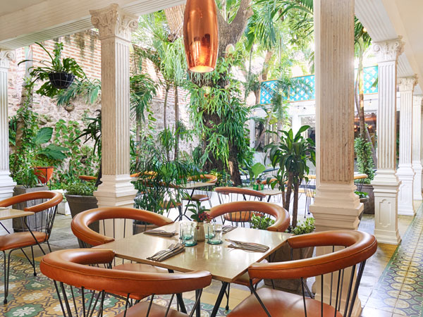 the dining interior at Carmen